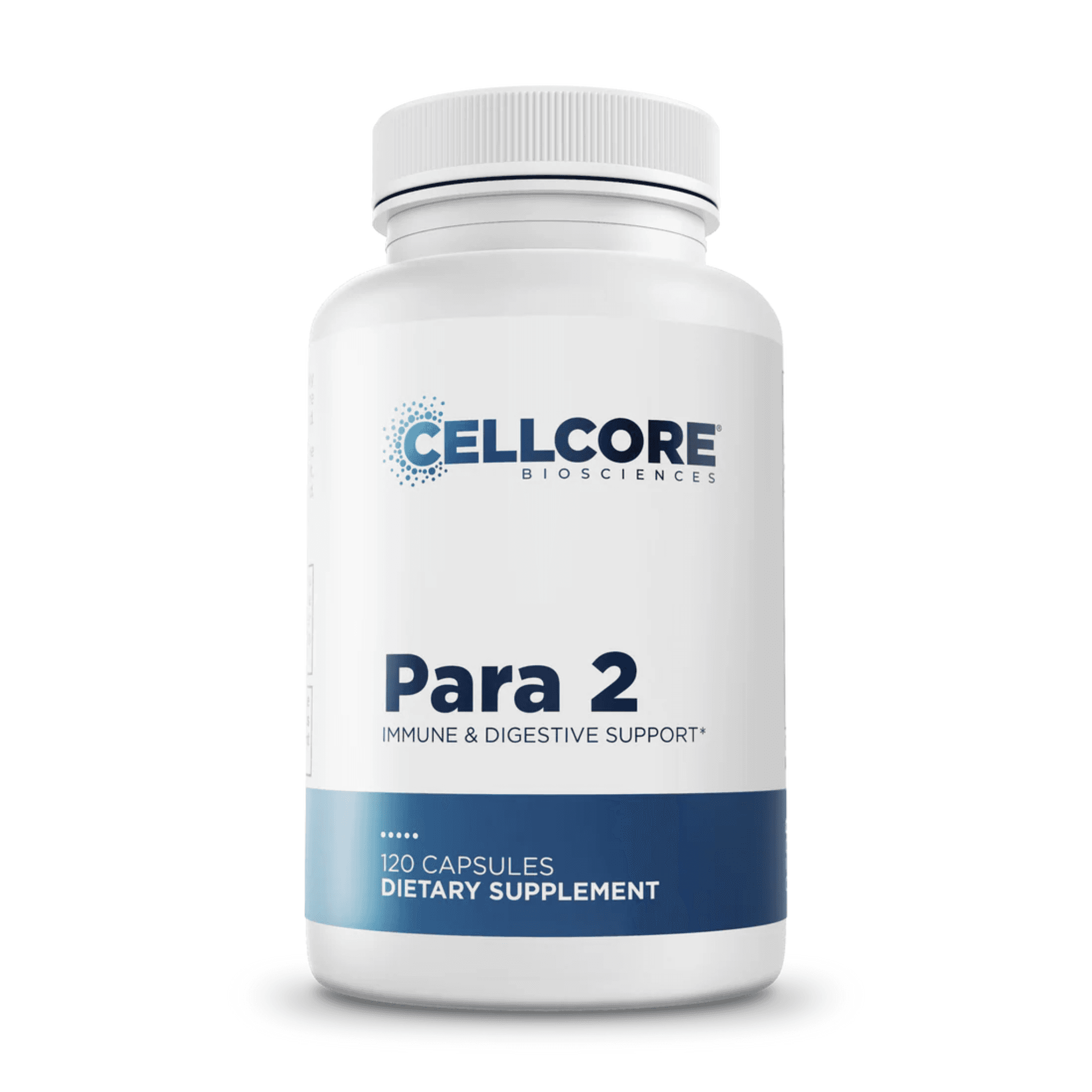 Para 2